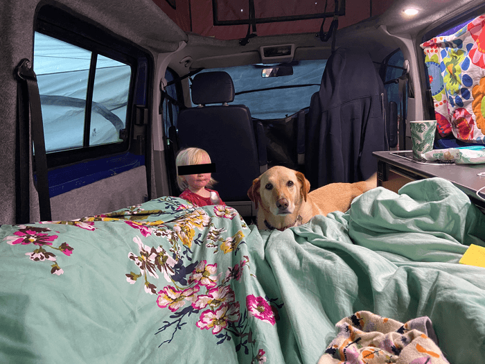 Vanlife with a dog and a toddler - @thehappycamper2020 10/2020 Interior of a campervan with colorful bedding and a golden retriever standing beside a young child with privacy-barred eyes, cozy inside the vehicle with camping gear visible around.