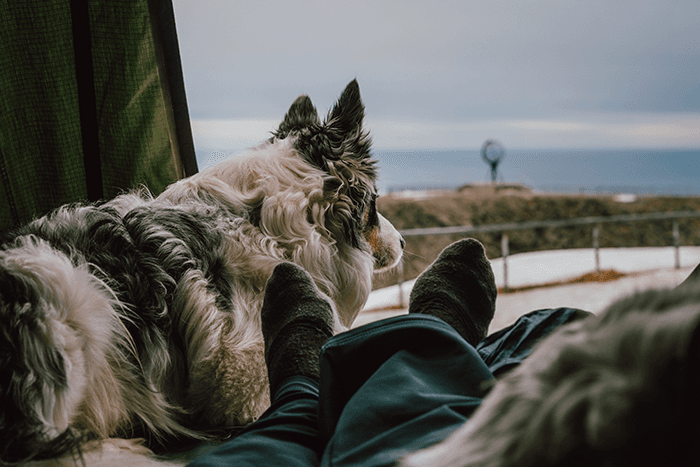 Resting in the rooftop tent at Nordkapp - @hrvoje_juric 12/2022 View from inside Hrvoje Juric’s Dacia Duster rooftop tent at Nordkapp, Norway, showing his dog resting beside him while both look out toward the iconic globe monument and Arctic Ocean, capturing a peaceful moment from their winter vanlife journey across northern Europe.