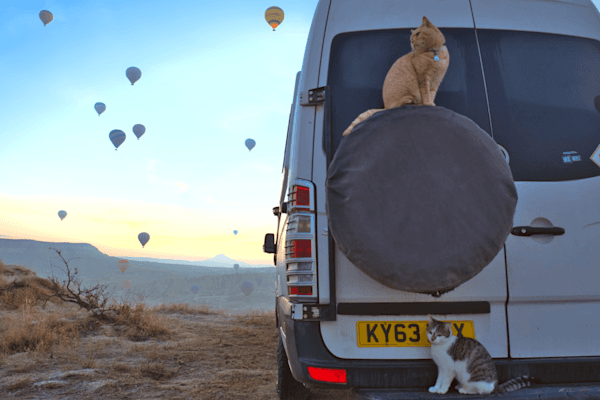 Hamish and Rocky enjoying the views of Cappadocia - @coyama.live 03/2023 Hamish the ginger cat sits on the spare tire cover at the back of Barry and Tamara’s white Mercedes Sprinter while Rocky the rescued kitten rests below it during sunrise in Cappadocia. Dozens of colorful hot air balloons float across the sky above the valley, creating a dramatic backdrop for the @coyama.live vanlife journey. The scene highlights their nomadic travel lifestyle with pets and the iconic balloon filled landscape of Turkey.