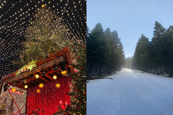 Winter in Germany - @tamzin_in_transit 06/2022 Split image showcasing the magical ambiance of a Christmas market in Cologne, Germany, with a large Christmas tree adorned with twinkling lights (left), and a serene, snow-covered path surrounded by tall evergreen trees in the Black Forest, Germany (right). Both scenes highlight the contrast between festive urban celebrations and tranquil natural landscapes experienced during a van life journey.