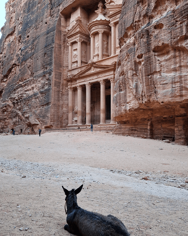 The Treasury in Petra, Jordan - @paul.jaunegg 03/2023 View of the Treasury in Petra, Jordan, an ancient Nabatean temple carved into towering red sandstone cliffs. A donkey rests in the foreground while visitors admire the intricate columns and detailed facade of this UNESCO World Heritage Site. Photo by Paul Jaunegg.