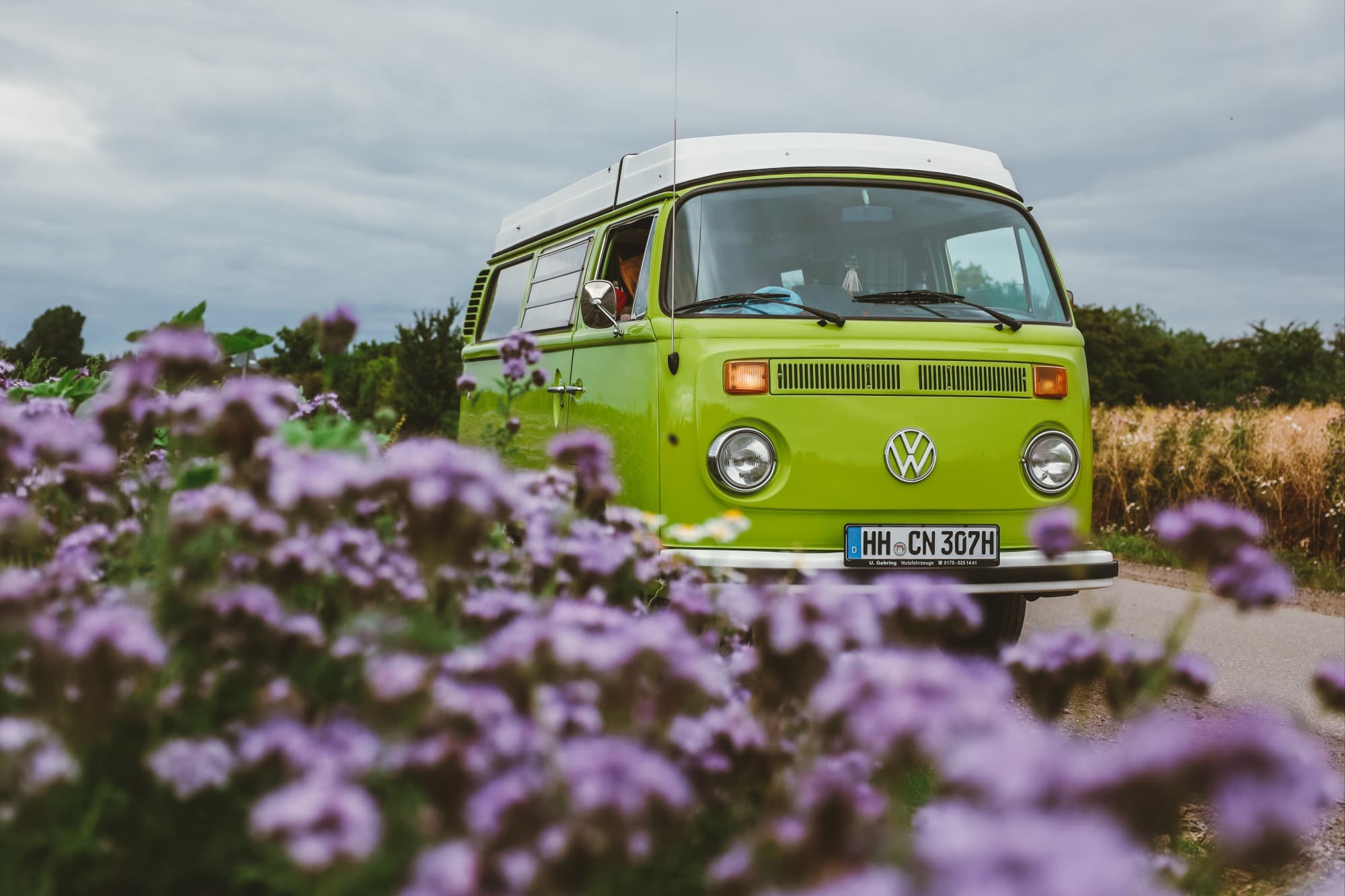 Heinrich on a scenic journey - @meetheinrich 06/2022 A bright green vintage VW T2 bus, named Heinrich, driving along a scenic road, framed by purple wildflowers in the foreground. The van is a key part of @meetheinrich's vanlife adventures documented in their travels.